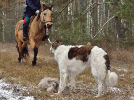 DuPage County Personal Injury Lawyer