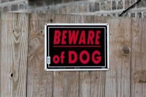 Chicago dog bite injury lawyer