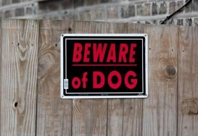 Illinois dog bite liability lawyer