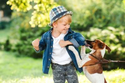 Illinois dog bite injury lawyer