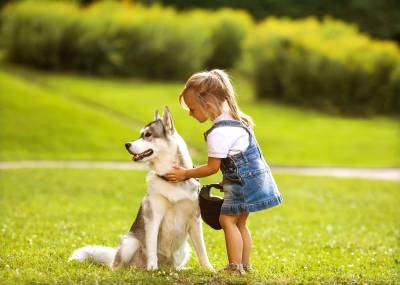 Naperville dog bite injury lawyer