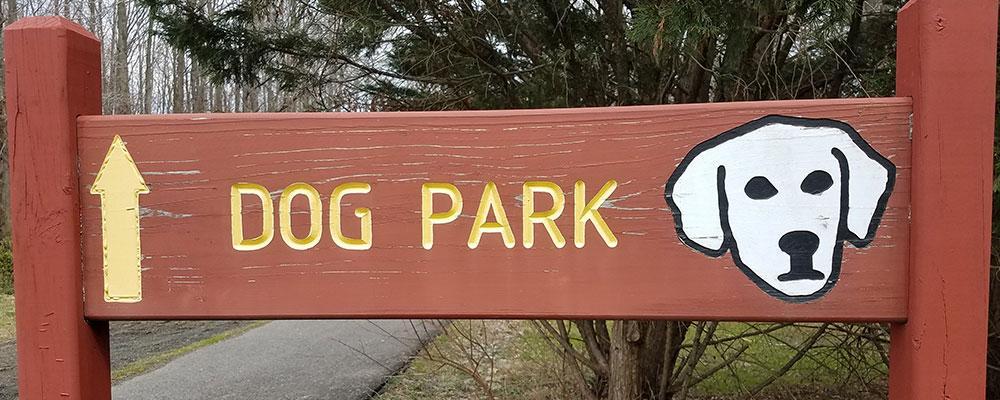 Naperville dog park attack lawyer